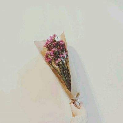 美小鱼的秘密39手游